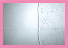 Conceive-plus-image-1.jpg Conceive-plus-image-1.jpg