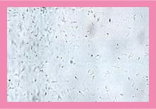 Conceive-plus-image-2.jpg Conceive-plus-image-2.jpg