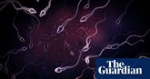 Cocktail of chemical pollutants linked to falling sperm quality in research